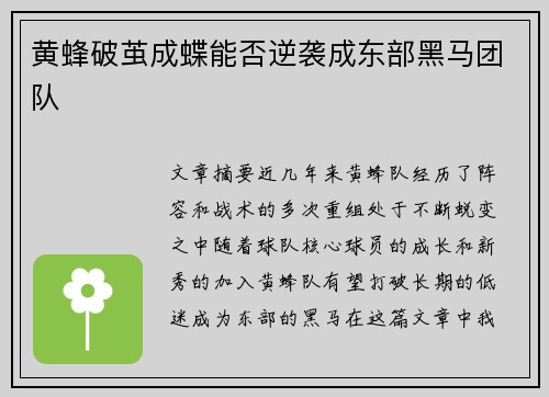 黄蜂破茧成蝶能否逆袭成东部黑马团队